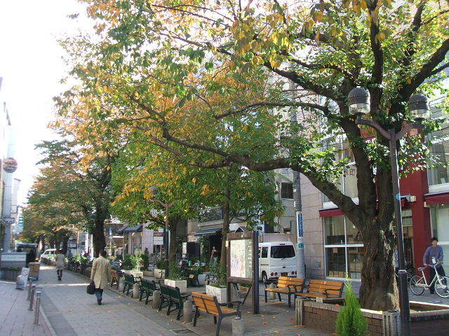 Ｊ　ＰＵＥＢＬＯのその他|九品仏川緑道