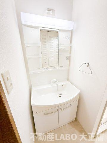 グランデージ住之江の洗面所