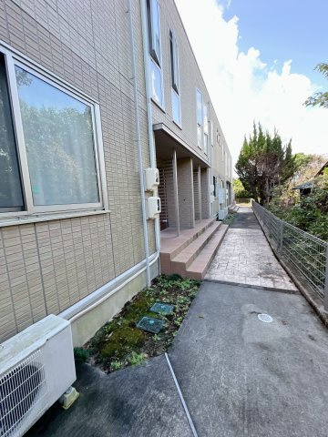 ソシア・ミズノのその他