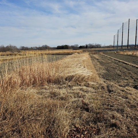 [農地]群馬県高崎市阿久津町1630（青地）の外観