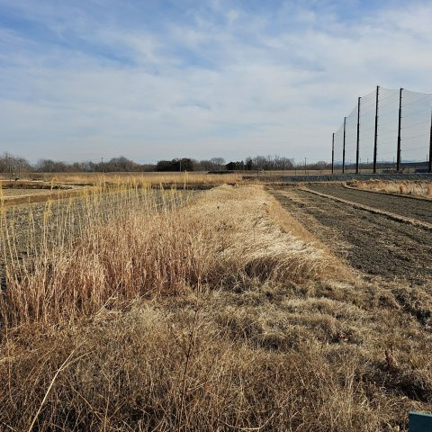 [農地]群馬県高崎市阿久津町1630（青地）の外観