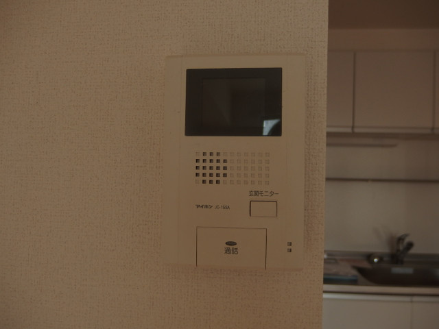 ルーチェ・デル・ソーレのセキュリティ