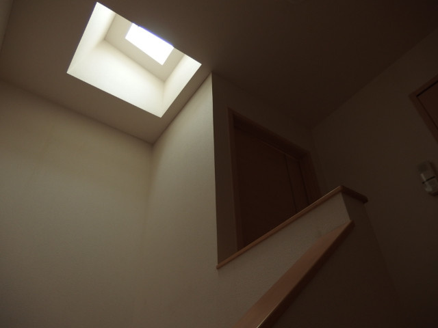 ルーチェ・デル・ソーレのその他