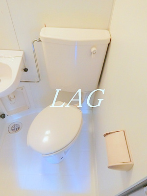 【トイレ】 | エクセレンス武笠 | トイレです。