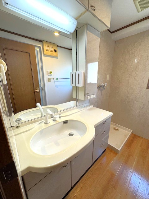 独立洗面台、収納豊富