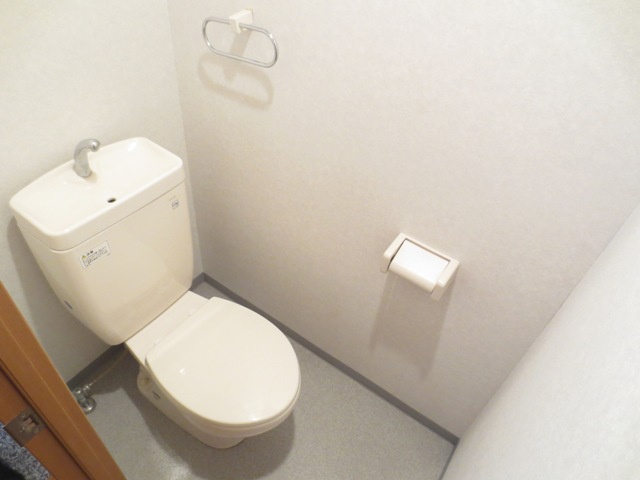 ヴィレッジフィールド彩のトイレ