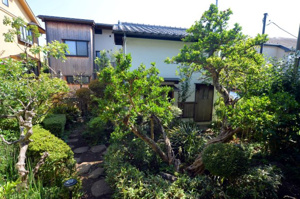 【庭】 | 庭のザクロと茶室
2026年2月21日撮影