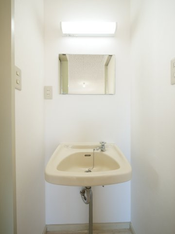 フェミール神田の洗面所