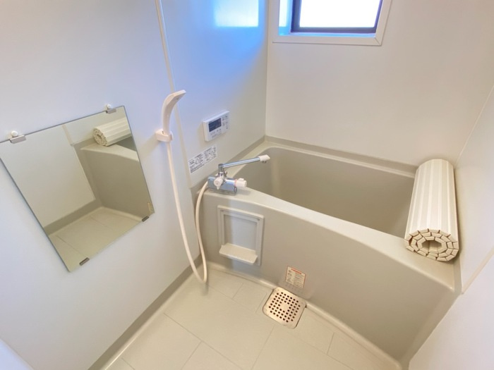 メゾン･テルシャトー C棟の浴室|浴室