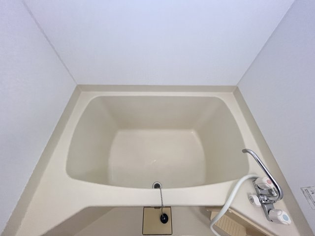 サザンコートおくまの浴室