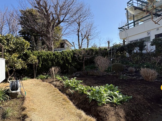 【庭】 | 伊豆急伊豆高原　戸建