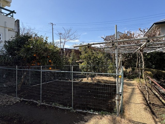 【庭】 | 伊豆急伊豆高原　戸建