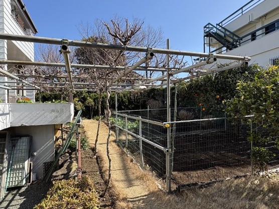 【庭】 | 伊豆急伊豆高原　戸建