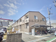 アムール　Lusterの画像