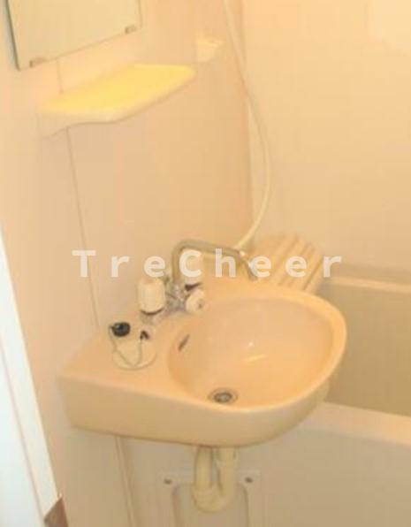 ロイヤル中十条の洗面所