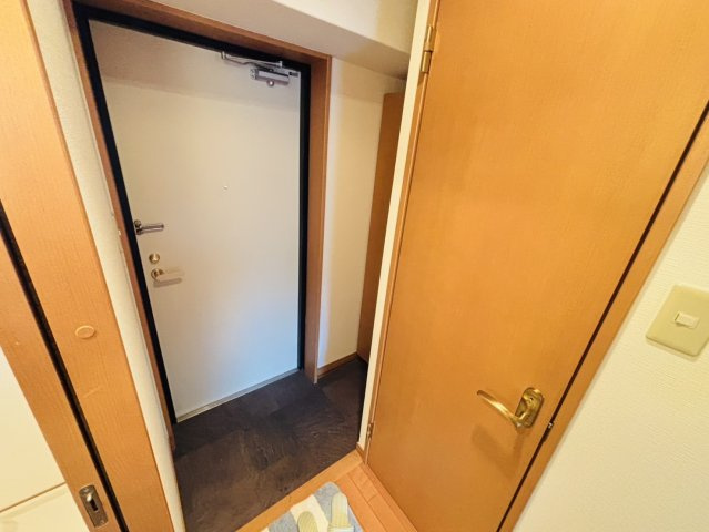 アスエランスの玄関|ロフトなし・写真は別号数タイプ