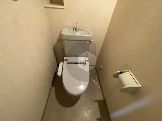 パレグリシーヌのトイレ