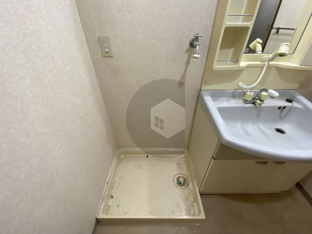 パレグリシーヌのその他