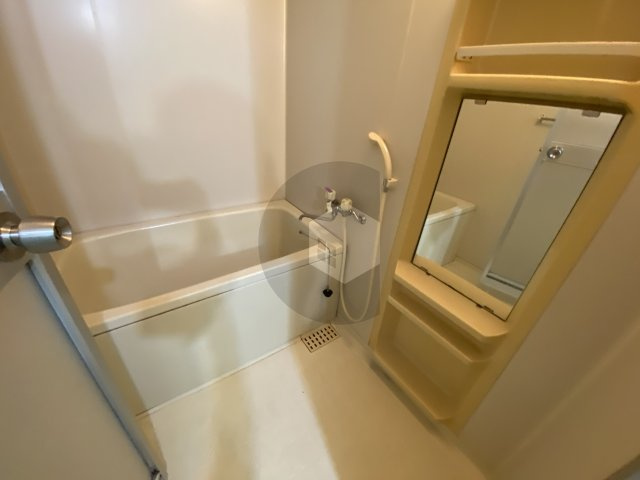 パレグリシーヌの浴室