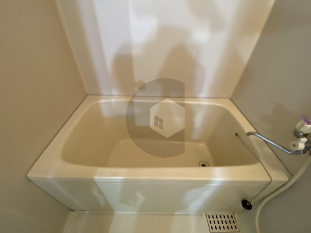 パレグリシーヌの浴室