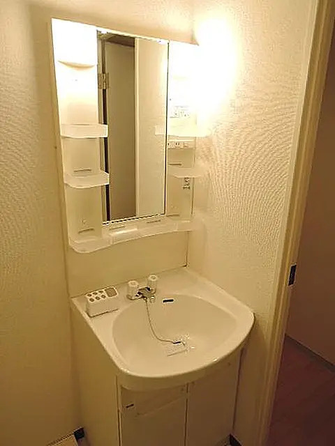 蔵前ローズガーデンの洗面所