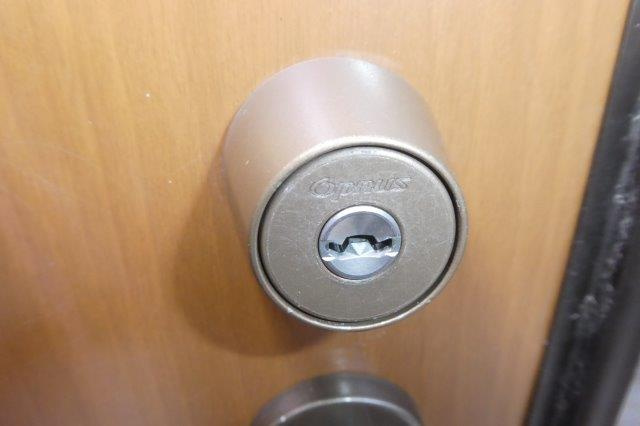 ポム・ダムールＡのセキュリティ|オプナスキー