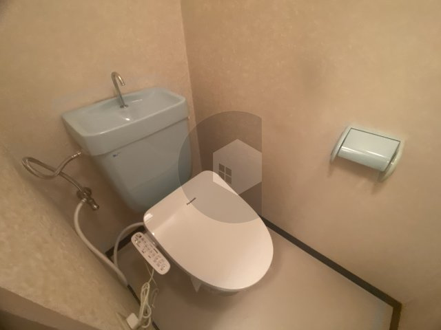 ピアー依奈のトイレ