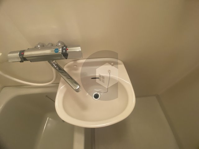 ピアー依奈の洗面所