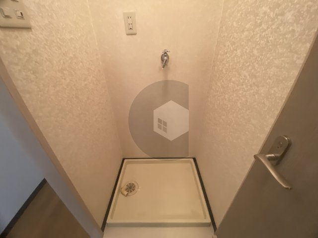 ピアー依奈のその他