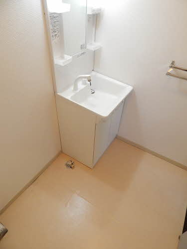 AXISーⅡ　B棟の洗面所|広い洗面スペース