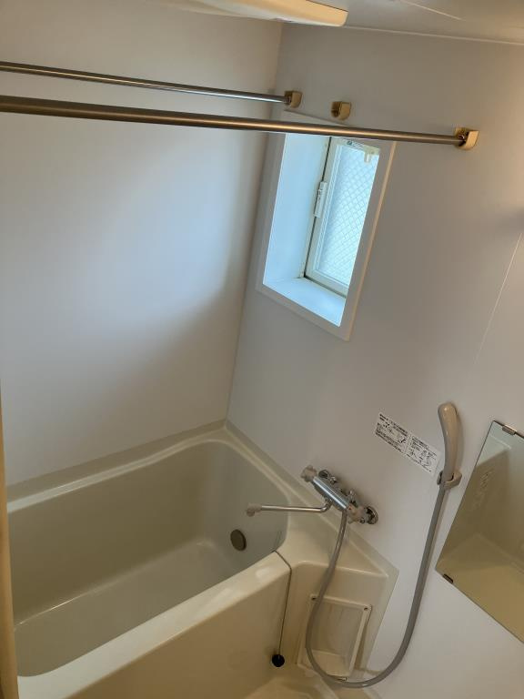 ドゥムールストレチアの浴室