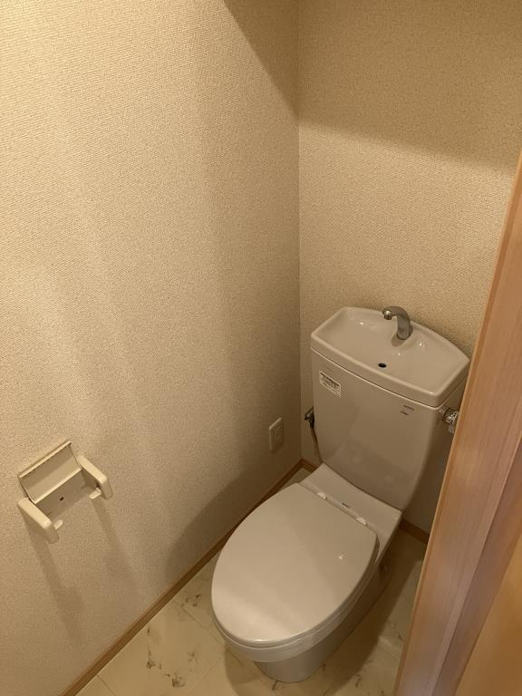 ドゥムールストレチアのトイレ