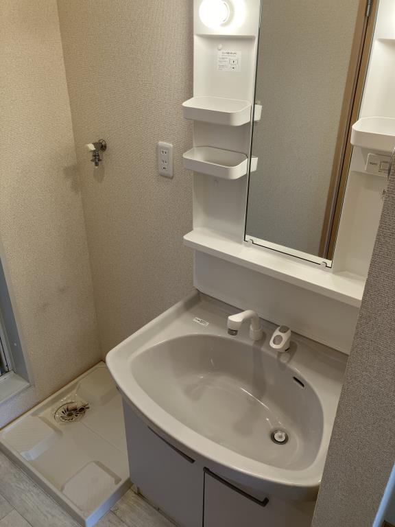 ドゥムールストレチアの洗面所