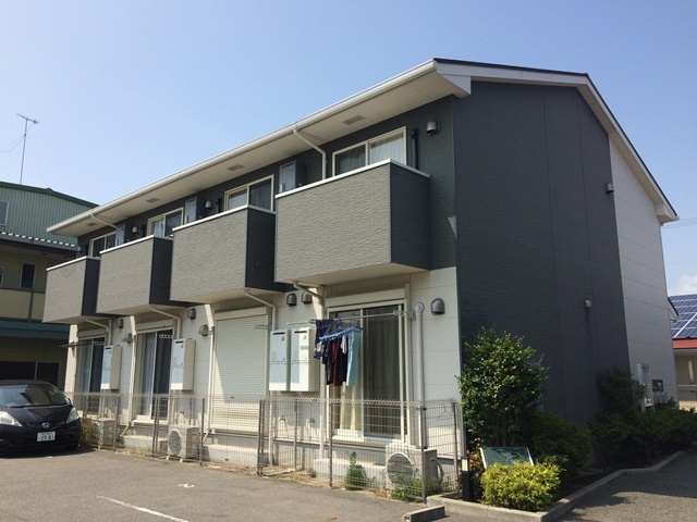 ドゥムールストレチア