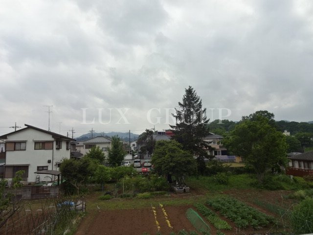 【展望】 | アプリコット