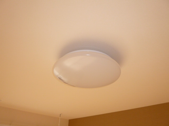 サビオの設備|照明