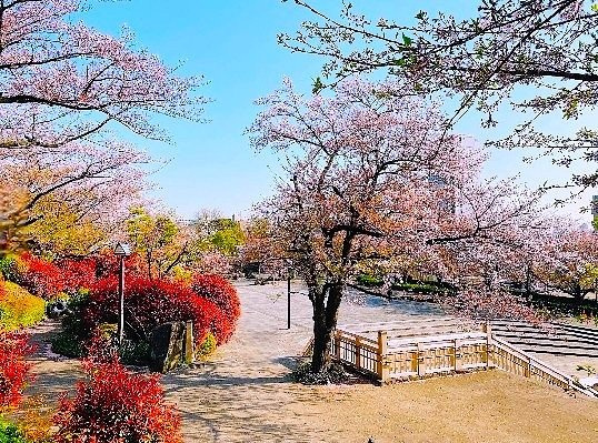 山惣マンションの周辺