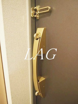 【セキュリティ】 | ルーブル錦糸町弐番館 | 内鍵です。