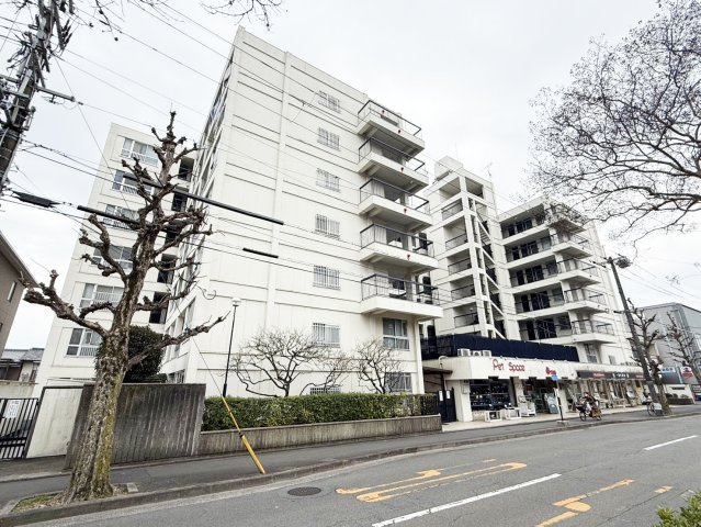 京都一乗寺コーポラスの外観|現地外観です。