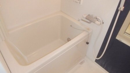 グリーンピア原木の浴室|日々の疲れを癒すお風呂付です（写真は別号室です）