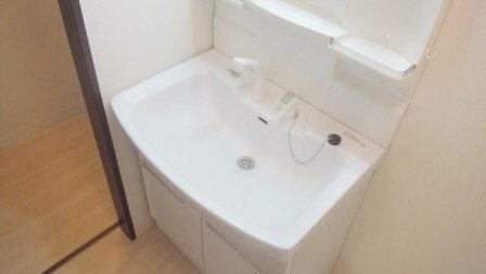 グリーンピア原木の洗面所|明るい洗面所です（写真は別号室です）