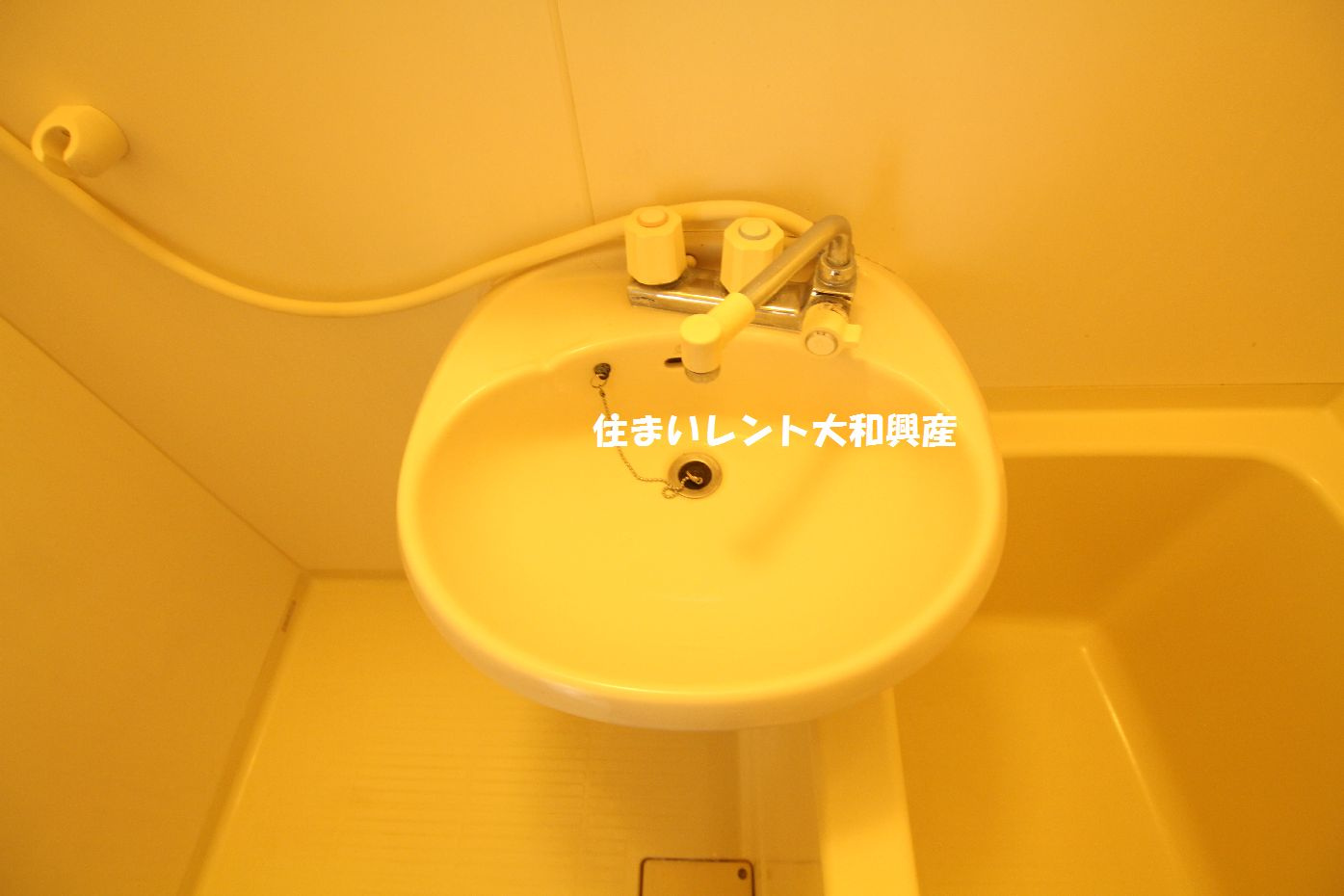 ウッディヒルズＡの洗面所