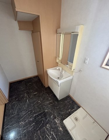 中古戸建　岩出市岡田の独立洗面台