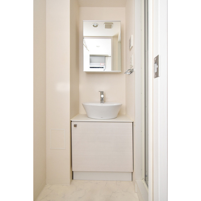 エスリード難波レジデンスの洗面所