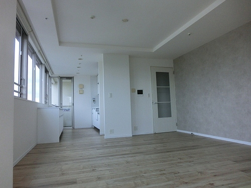 サンクタスタワー心斎橋ミラノ・グランデの居間・リビング|ＬＤＫ（東側から望む）