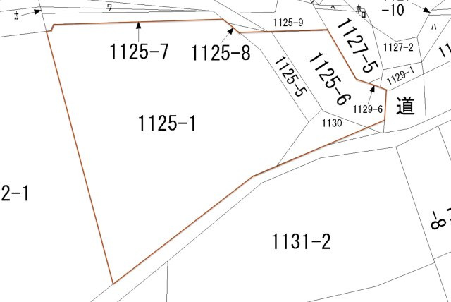 【農地】みどり市東町花輪1125-1,1125-5,1125-6（青地）の区画図