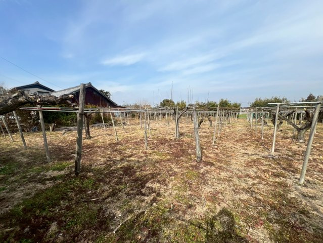 安城市二本木町東切替の外観|広々とした敷地です！※更地渡し