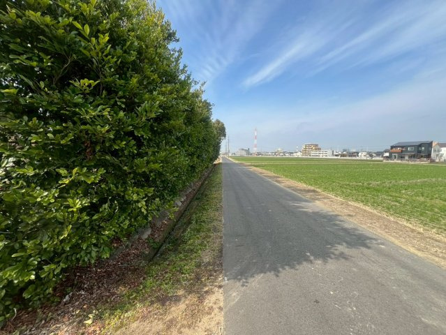 安城市二本木町東切替の前面道路含む現地写真|北側道路と対象地（西向きに撮影）