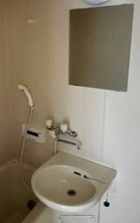 フラットイン蓮根の洗面所