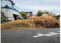 知多市岡田字向山　売り土地の前面道路含む現地写真|前面道路含む現地写真です